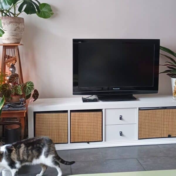 KALLAX TV unit with large double cube compartment