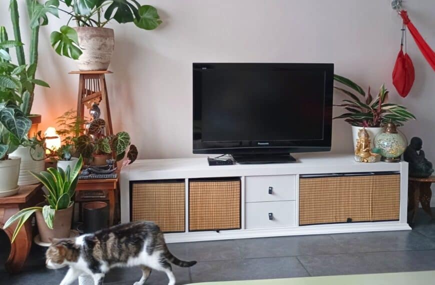 KALLAX TV unit with large double cube compartment